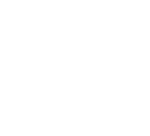Fastcommerce confidence